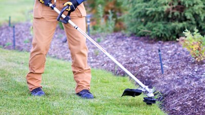 Wide, waist-down view of a gardener trimming the edge of a lawn.